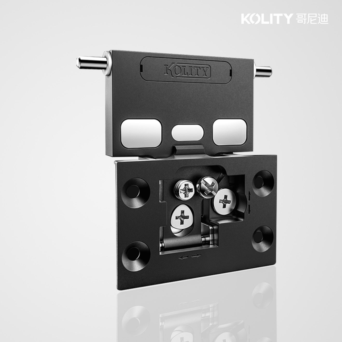 Bản Lề Trục Xoay (Pin Hinge)